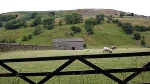 Generic Yorkshire Dales scene