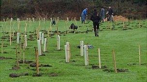 Tree planting at St Germain Nature Reserve