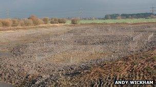 The newly planted wetland area at Besthorpe Nature Reserve