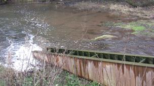 fish ladder