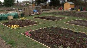 Allotment in St Brelade