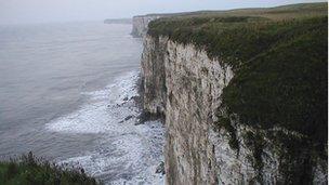 Bempton Cliffs