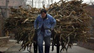 Farmer pulling a cart