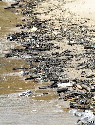 Debris on shoreline (Image: AP)