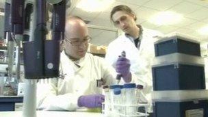 Scientists at the University of Warwick