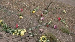 Flowers on the banks of the River Humber