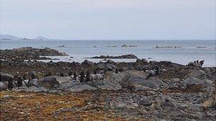 Guernsey's long sea outfall pipe in Belle Greve Bay