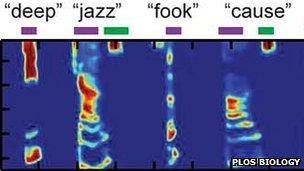 Plots of predicted spectrograms (PLoS Biology)