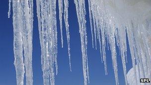 Icicles