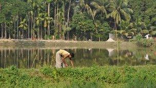 Land beside the Gandhi ashram in Bangladesh