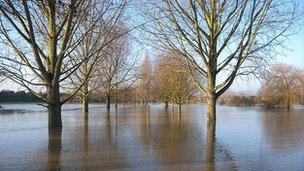 A flooded Admirals Park in Chelmsford in January 2011