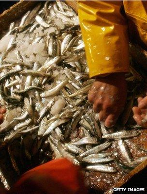 Fishermen sorting a catch (Getty Images)