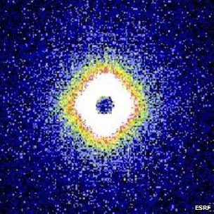 X-ray scattering image of sea urchin spicule (ESRF)