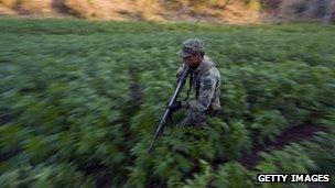 Mexican soldier in field