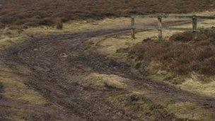 Damage caused on the Llantysilio mountain