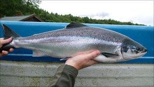 Liathag