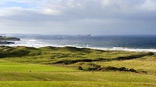 Grass-covered sand dunes