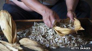 Fish tamales being prepared