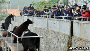 Journalists visit a bear farm of Guizhentang Pharmaceutical Co Ltd on 22 February, 2012 in Quanzhou, Fujian Province, China