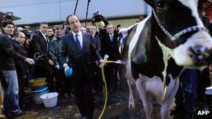 Francois Hollande washes a cow as he visits the Paris international agricultural fair, 28 February