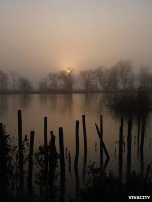 Flag Fen (Vivacity)