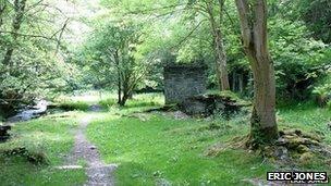 Ruins of Nant y Pandy mill