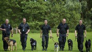 West Midlands Police dogs