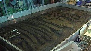 Timbers from the Asterix undergoing conservation work at the Mary Rose Trust