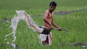 An Indian farmer waters his field in Pobitora village, near Gauhati in Assam state - 29 February 2012