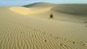 Sahara Desert, Mali