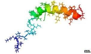 Neuropeptide Y