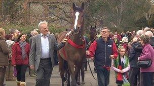 Kauto Star