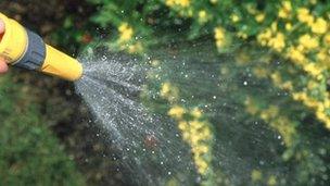 Watering garden with water from hosepipe