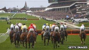 Cheltenham racecourse