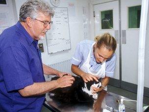 Rolf Harris in Animal Hospital