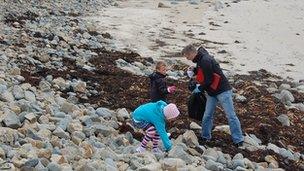 Volunteers collecting and recording litter on a Guernsey beach