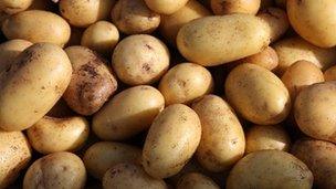 Potatoes