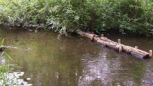 Logs used to alter river