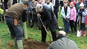 People planting trees