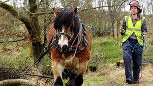 Steffi Schaffler with horse