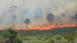 The fire in Upton Heath last year