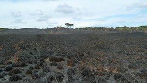 The aftermath of the fire in Upton Heath