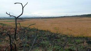 The recovery of the land in Upton Heath