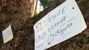 House For Sale sign on tree in Havana