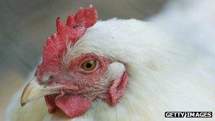 Chicken (file picture)