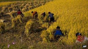 North Korean farmers work in a field along a highway outside the eastern coastal city of Wonsan, North Korea, 2011