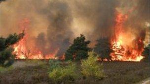 Fire at Frensham Common