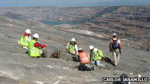 Excavators sitting outside of a mine