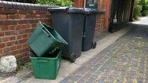 Wheelie bins