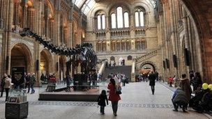 Natural History Museum